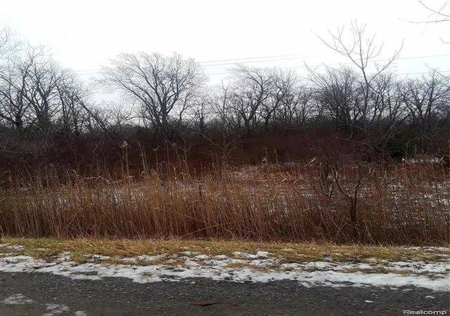1st image of 00 E Maple Ave, Flint, MI 48507 | MLS# 60383374
