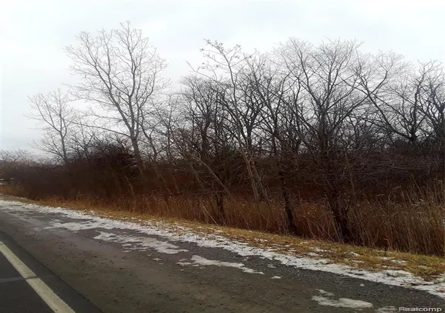 2nd image of 00 E Maple Ave, Flint, MI 48507 | MLS# 60383374
