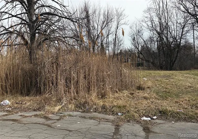 2nd image of 19202 Coventry St, Highland Park, MI 48203 | MLS# 60995607