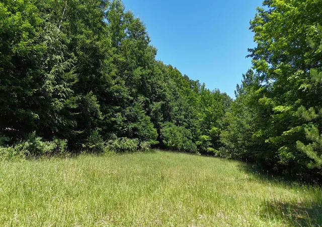 Homes for sale in Lake Leelanau, MI | V/l S Schomberg Rd, Lake Leelanau, MI 49653 | MLS# 80060577