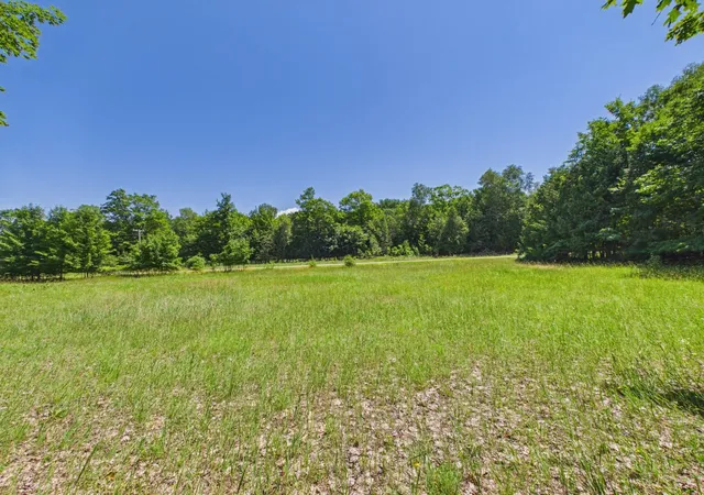 Homes for sale in Lake Leelanau, MI | V/L S Schomberg Rd, Lake Leelanau, MI 49653 | MLS# 80060577
