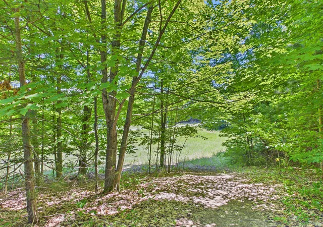 Homes for sale in Lake Leelanau, MI | V/L S Schomberg Rd, Lake Leelanau, MI 49653 | MLS# 80060577
