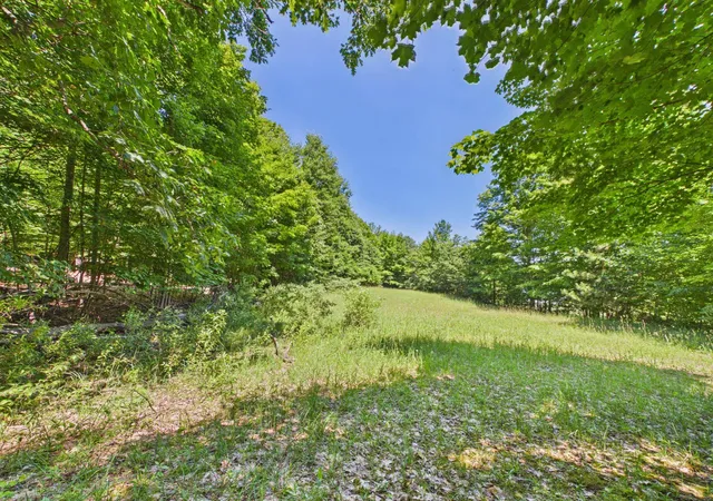 Homes for sale in Lake Leelanau, MI | V/L S Schomberg Rd, Lake Leelanau, MI 49653 | MLS# 80060577