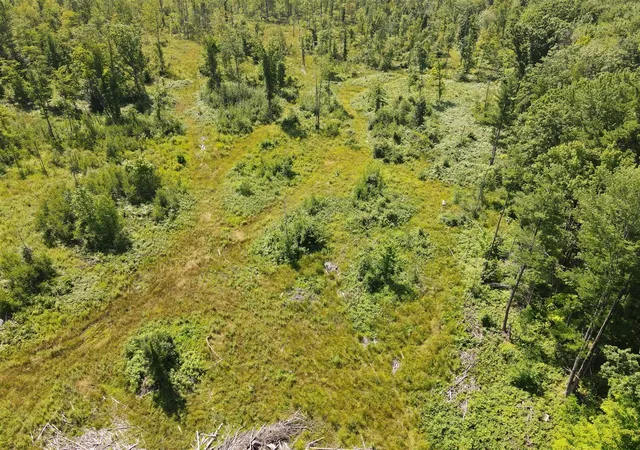 Photo 3 of Land for sale at 0 Us 131, Kalkaska, MI 49646 | MLS# 70531688 | Listing updated on 2026-07-28