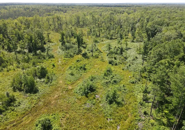 Photo 4 of Land for sale at 0 Us 131, Kalkaska, MI 49646 | MLS# 70531688 | Listing updated on 2026-07-28