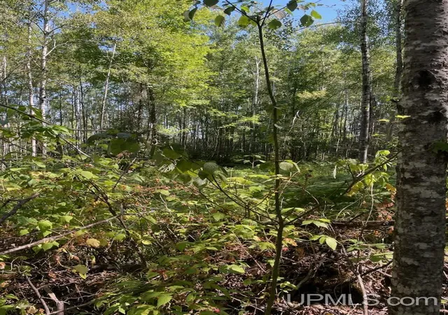 3rd image of Herzog Rd, Iron Mountain, MI 49801 | MLS# 50218585