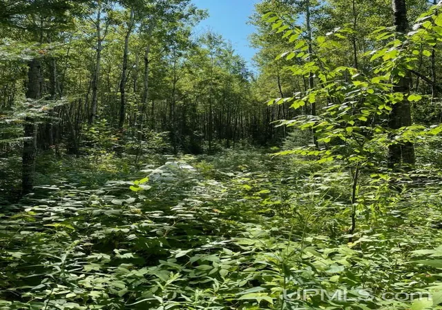 4th image of Herzog Rd, Iron Mountain, MI 49801 | MLS# 50218585
