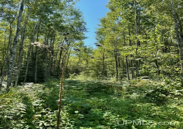 5th image of Herzog Rd, Iron Mountain, MI 49801 | MLS# 50218585