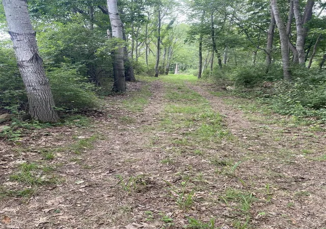 Photo 11 of Sale Pending at Vl 174th Avenue, Spring Lake, MI 49456 | MLS# 70549993 | Listing updated on 2026-08-06