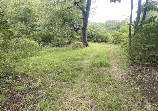 Photo 3 of Sale Pending at Vl 174th Avenue, Spring Lake, MI 49456 | MLS# 70549993 | Listing updated on 2026-08-06