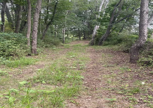 Photo 5 of Sale Pending at Vl 174th Avenue, Spring Lake, MI 49456 | MLS# 70549993 | Listing updated on 2026-08-06
