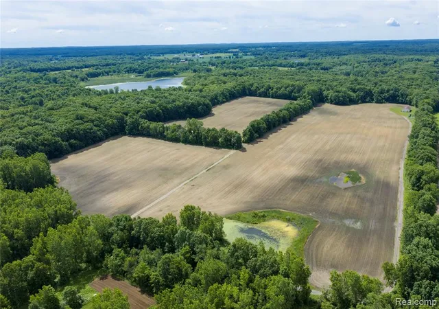 4th image of 10069 Silver Lake Rd, Linden, MI 48451 | MLS# 61004848