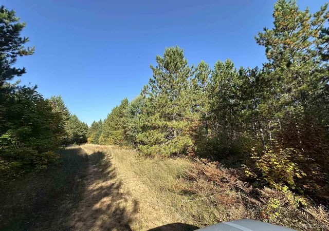 54th image of 80 Acres Off Co Rd 510, Ishpeming, MI 49849 | MLS# 50086996