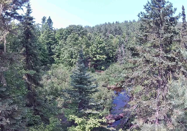 Photo 5 of Single family home for sale at 80 Acres Off Co Rd 510, Ishpeming, MI 49849 | MLS# 50086996 | Listing updated on 2026-08-04