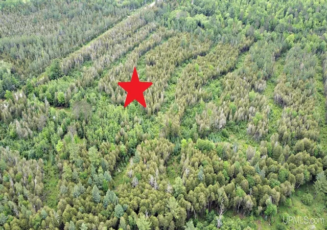 Photo 1 of Land for sale at Chapman Rd, Niagara, WI 54151 | MLS# 50215996 | Listing updated on 2026-09-12
