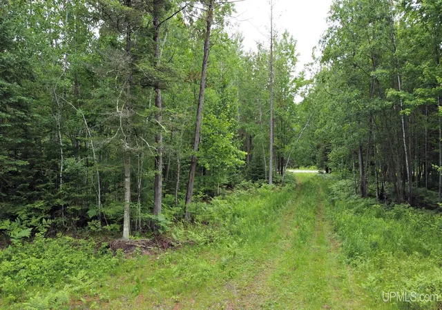 Photo 2 of Land for sale at Chapman Rd, Niagara, WI 54151 | MLS# 50215996 | Listing updated on 2026-09-12