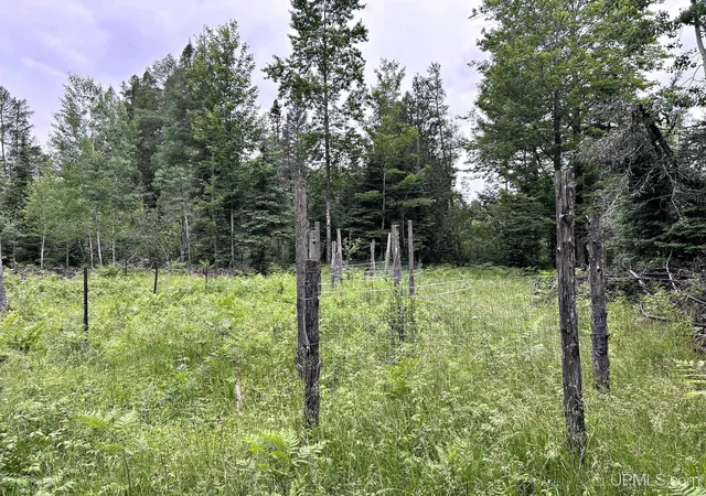 Photo 4 of Land for sale at Chapman Rd, Niagara, WI 54151 | MLS# 50215996 | Listing updated on 2026-09-12