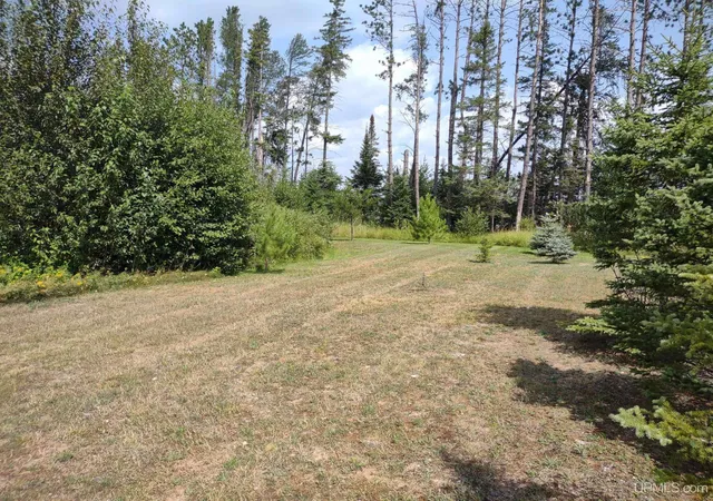 Photo 2 of Land for sale at Tbd Eagles Nest Ln, Iron River, MI 49935 | MLS# 50219055 | Listing updated on 2026-08-25