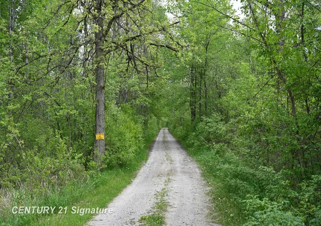 74th image of 150 E Winegars Rd, Gladwin, MI 48624 | MLS# 50200970