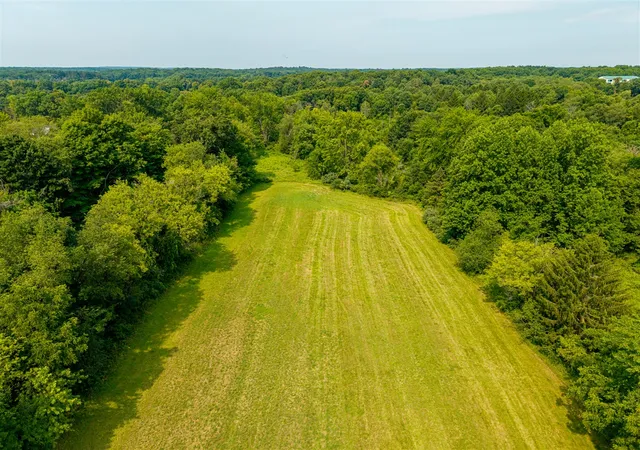 Photo 3 of Land for sale at 02 River Bnd, Manchester, MI 48158 | MLS# 70550045 | Listing updated on 2026-08-04