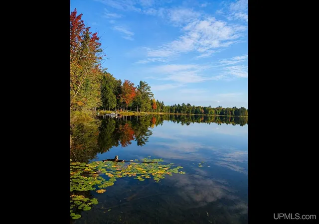 Photo 1 of Land for sale at 301a 301b Robinson Lake Rd, Iron River, MI 49935 | MLS# 50167828 | Listing updated on 2026-04-23