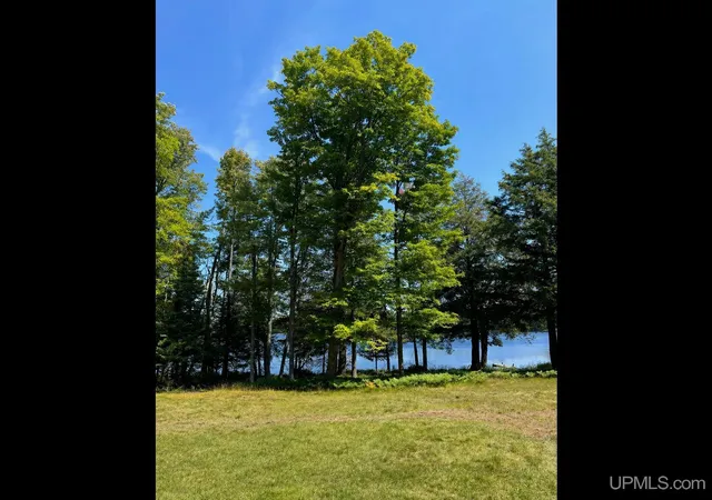 Photo 2 of Land for sale at 301a 301b Robinson Lake Rd, Iron River, MI 49935 | MLS# 50167828 | Listing updated on 2026-04-23