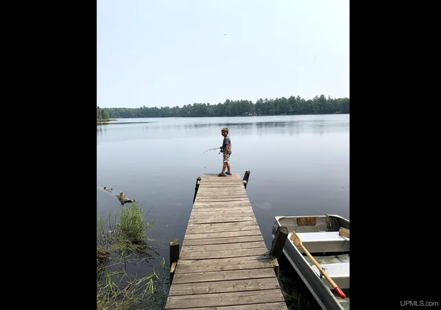 Photo 4 of Land for sale at 301a-301b Robinson Lake Rd, Iron River, MI 49935 | MLS# 50167828 | Listing updated on 2026-04-23