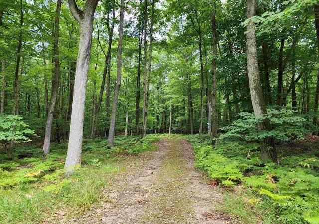 Photo 1 of Sale Pending at Lot 119 Elm Run, Farwell, MI 48622 | MLS# 50215691 | Listing updated on 2026-09-13