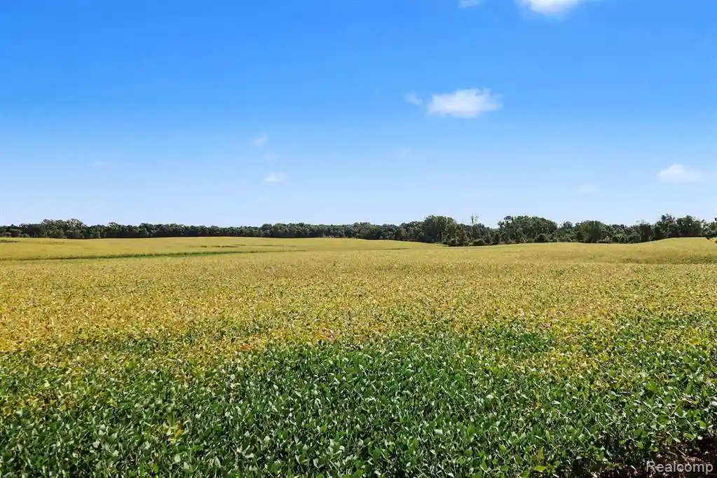 Land for sale at Parcel N A Hacker Rd, Howell, MI 48843 | MLS# 61030366
