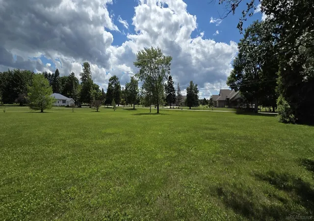 Homes for sale in Lexington, MI | 0000 Babcock Rd, Lexington, MI 48450 | MLS# 50211968