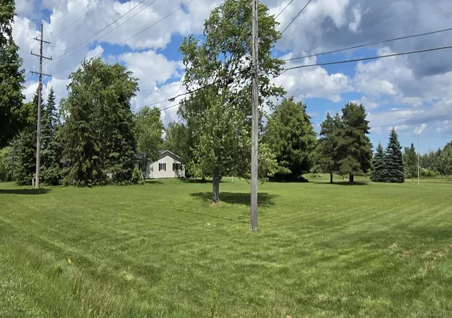 Homes for sale in Lexington, MI | 0000 Babcock Rd, Lexington, MI 48450 | MLS# 50211968