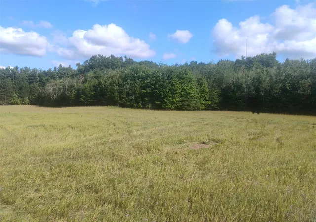 Land for sale at 6383 Lee Rd, East Jordan, MI 49727 | MLS# 70549724