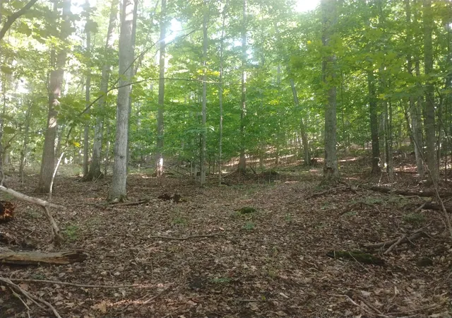 Photo 3 of Land for sale at 6383 Lee Rd, East Jordan, MI 49727 | MLS# 70549724 | Listing updated on 2026-08-18