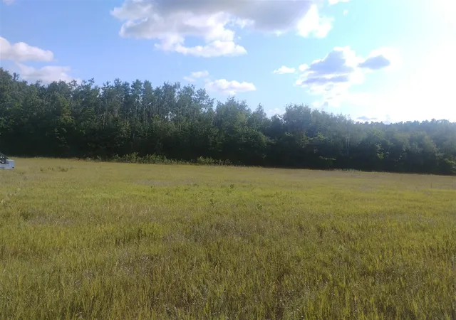 Photo 3 of Land for sale at 6383 Lee Rd, East Jordan, MI 49727 | MLS# 70549724 | Listing updated on 2026-08-18