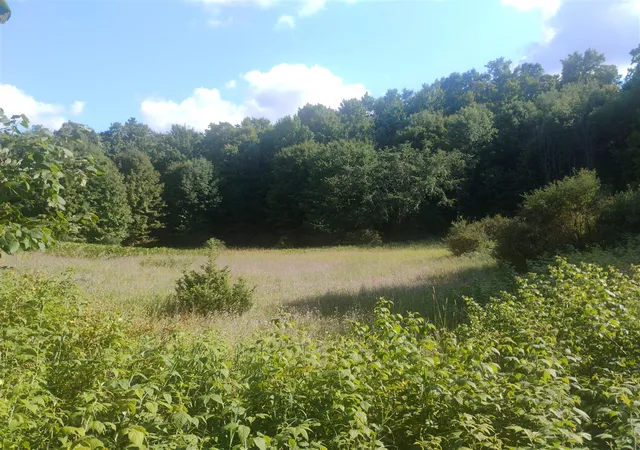 Photo 4 of Land for sale at 6383 Lee Rd, East Jordan, MI 49727 | MLS# 70549724 | Listing updated on 2026-08-18