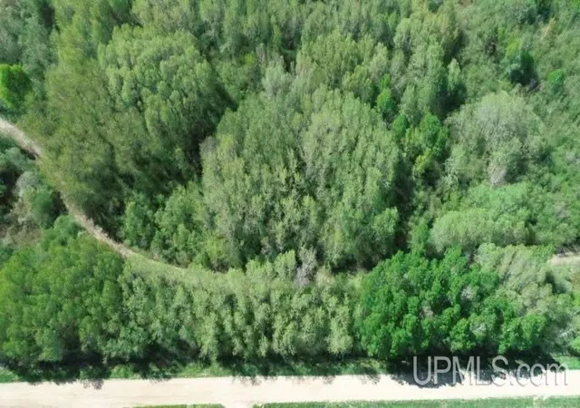Homes for sale in Newberry, MI | 14212 W County Road 462 Road, Newberry, MI 49868 | MLS# 50209515