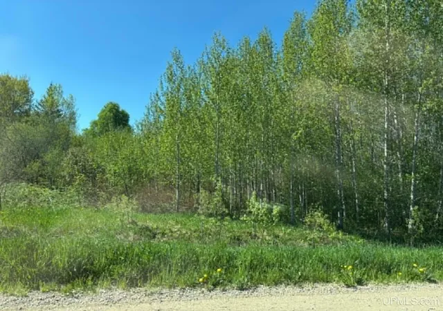 Homes for sale in Newberry, MI | 14212 W County Road 462 Road, Newberry, MI 49868 | MLS# 50209515