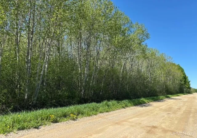 Homes for sale in Newberry, MI | 14212 W County Road 462 Road, Newberry, MI 49868 | MLS# 50209515