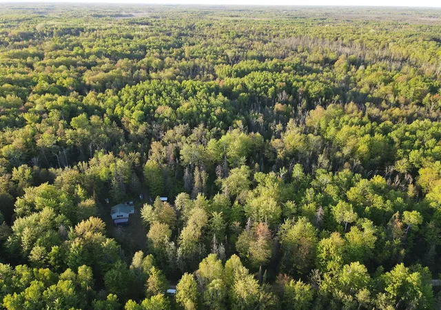 Photo 3 of Land for sale at V/l 33 Road, Perkins, MI 49872 | MLS# 70536554 | Listing updated on 2026-06-04