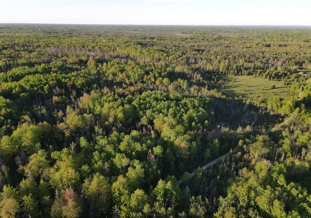 Photo 3 of Land for sale at V/l 33 Road, Perkins, MI 49872 | MLS# 70536554 | Listing updated on 2026-06-04