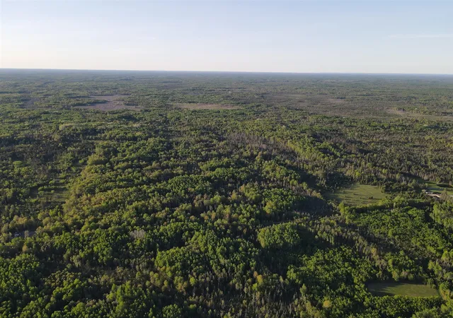 Photo 4 of Land for sale at V/l 33 Road, Perkins, MI 49872 | MLS# 70536554 | Listing updated on 2026-06-04
