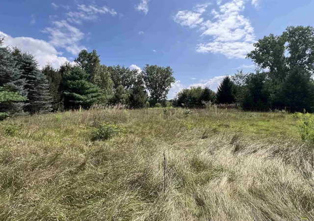 4th image of E River Rd, Mount Pleasant, MI 48858 | MLS# 80072724