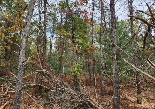 Photo 2 of Sale Pending at Parcel T 12th Street, Baldwin, MI 49304 | MLS# 70499355 | Listing updated on 2025-10-17