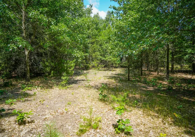 Photo 3 of Land for sale at V/l W Adams Rd, Pentwater, MI 49449 | MLS# 70548312 | Listing updated on 2026-09-16