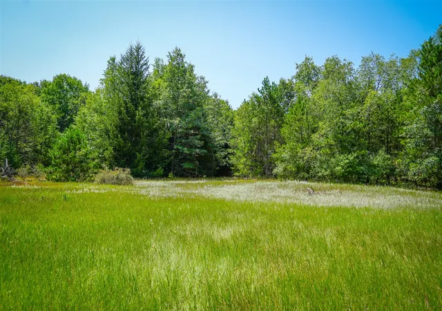 Photo 4 of Land for sale at V/l W Adams Rd, Pentwater, MI 49449 | MLS# 70548312 | Listing updated on 2026-09-16