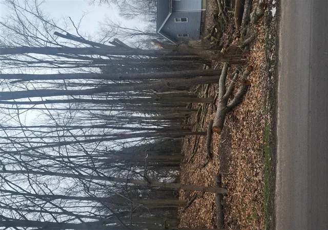 Photo 1 of Land for sale at Burt Ave, Jackson, MI 49201 | MLS# 70469465 | Listing updated on 2026-05-15