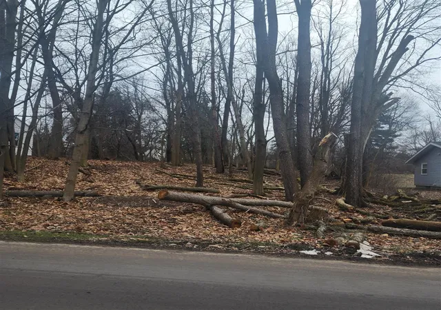 Photo 3 of Land for sale at Burt Ave, Jackson, MI 49201 | MLS# 70469465 | Listing updated on 2026-05-15
