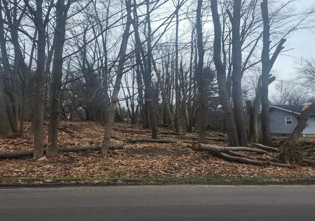 Photo 4 of Land for sale at Burt Ave, Jackson, MI 49201 | MLS# 70469465 | Listing updated on 2026-05-15
