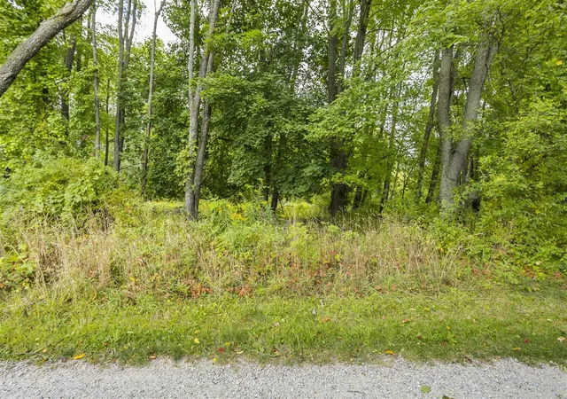 Homes for sale in Alto, MI | V/L 60Th St Par C, Alto, MI 49302 | MLS# 70492561
