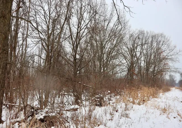4th image of S Santiago Rd, Au Gres, MI 48703 | MLS# 70509517